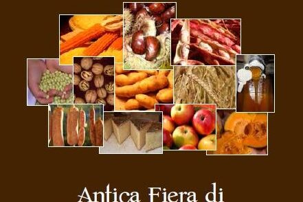 fiera_di_feltre