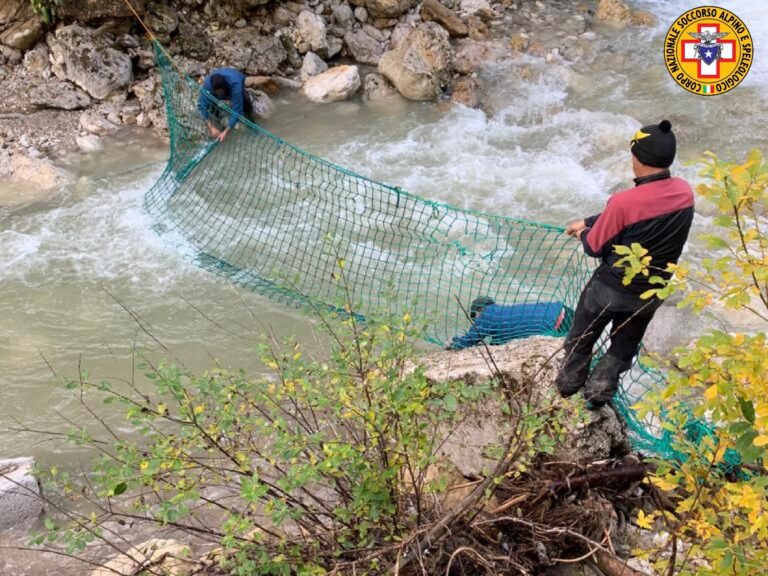 salt_20201007_181852_504_resized