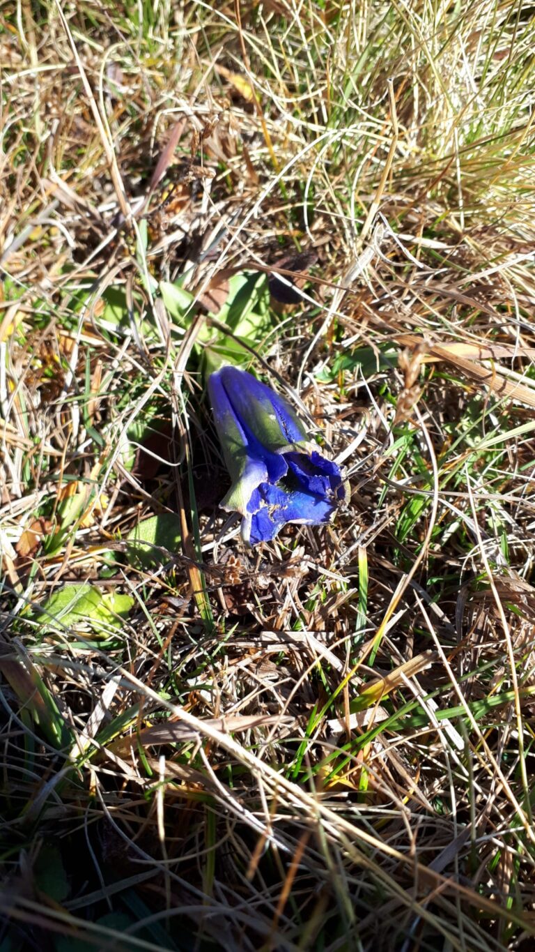 0b6f7138-04fb-414f-84c2-1b1c92a6e974