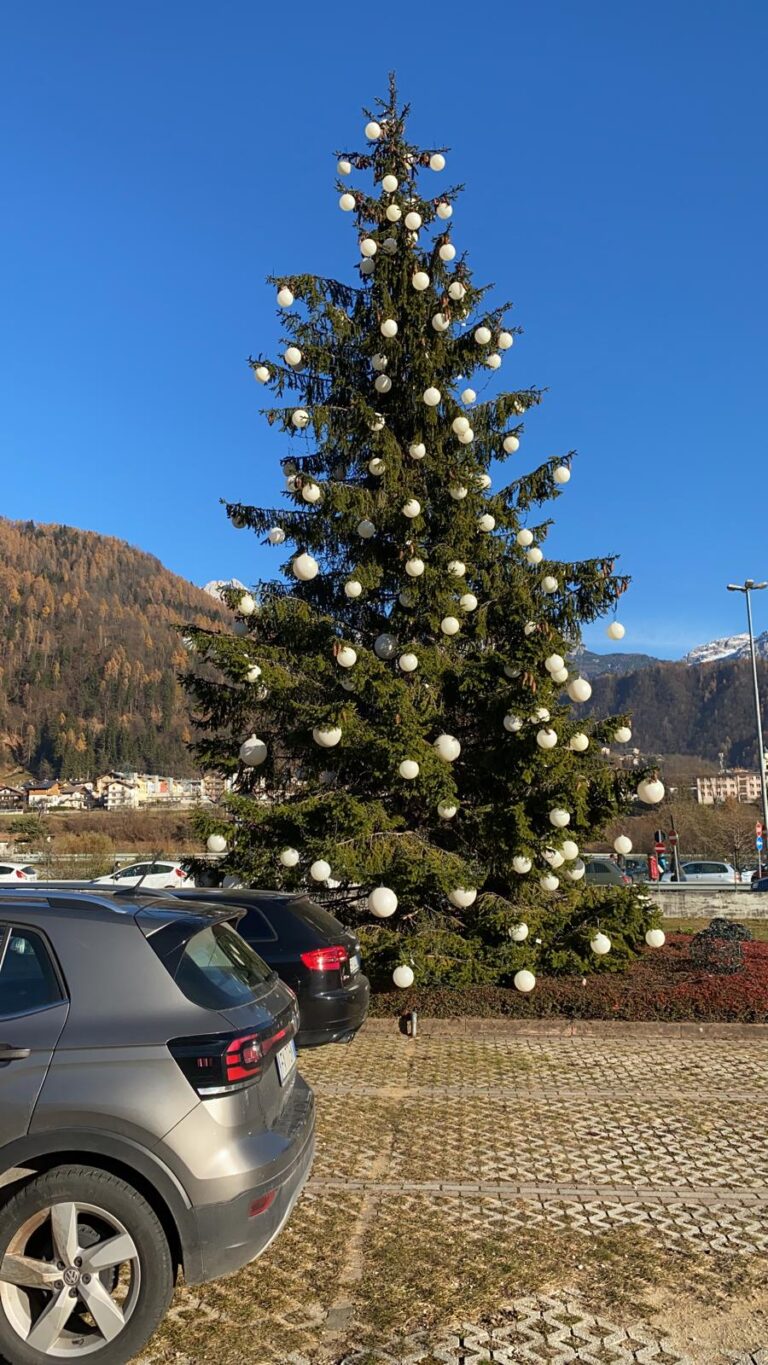 0e91c7db-40e6-42d6-8815-3990a1002f41