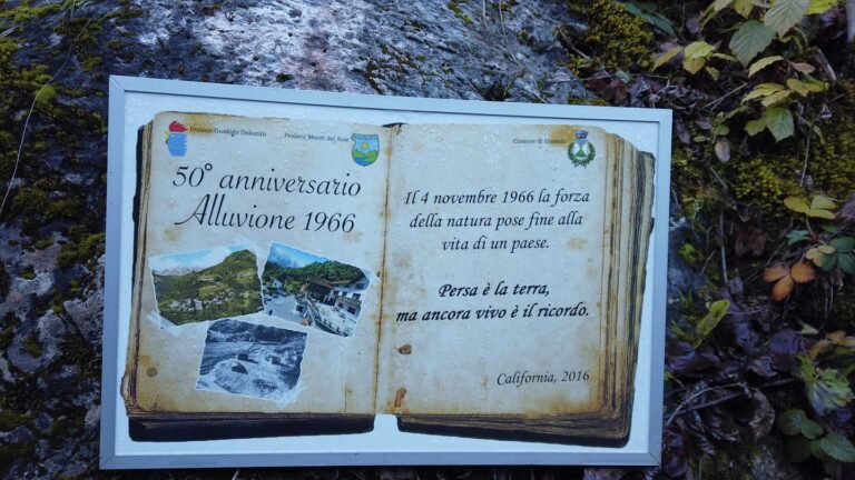 126190258_3417233535051328_6120582719799457596_o