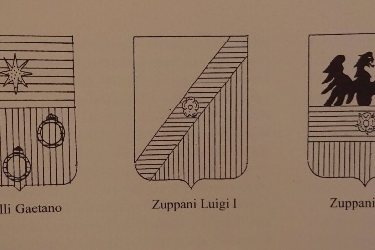127288978_1320502821634361_1121015966543404046_n