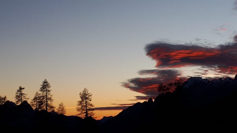 15d7161b-24a1-49ad-9195-64cd5860548f