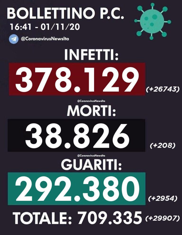 IMAGE 2020-11-01 16:41:52