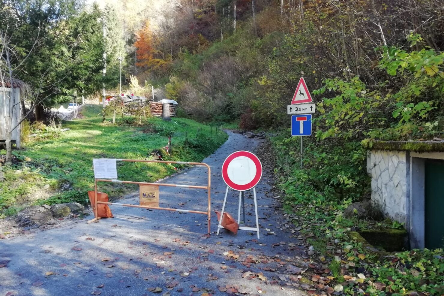 PHOTO-2020-11-18-12-59-02