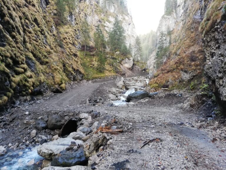 a1d4077a-80dc-4815-bb17-b50a706a906b