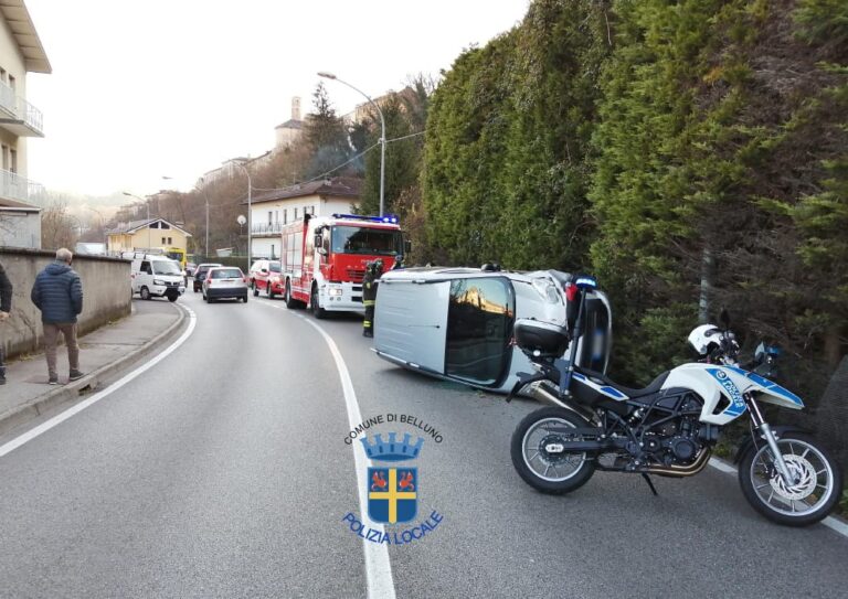 a8b27204-6f5a-4e53-bd44-66965a100a62