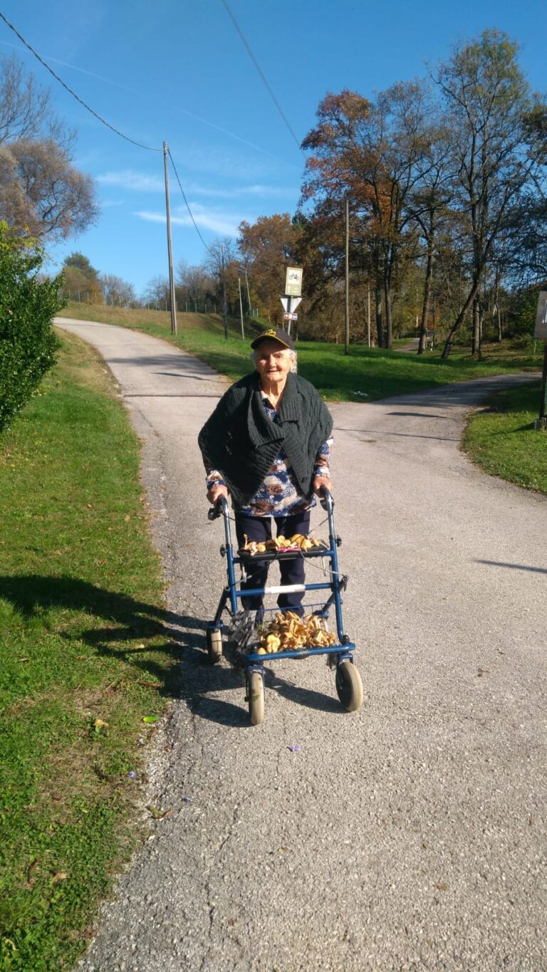 f6b03c97-863f-4a1e-a734-b9e3a5a88796