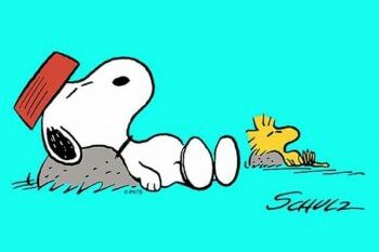 giornata-del-sonno-350×260