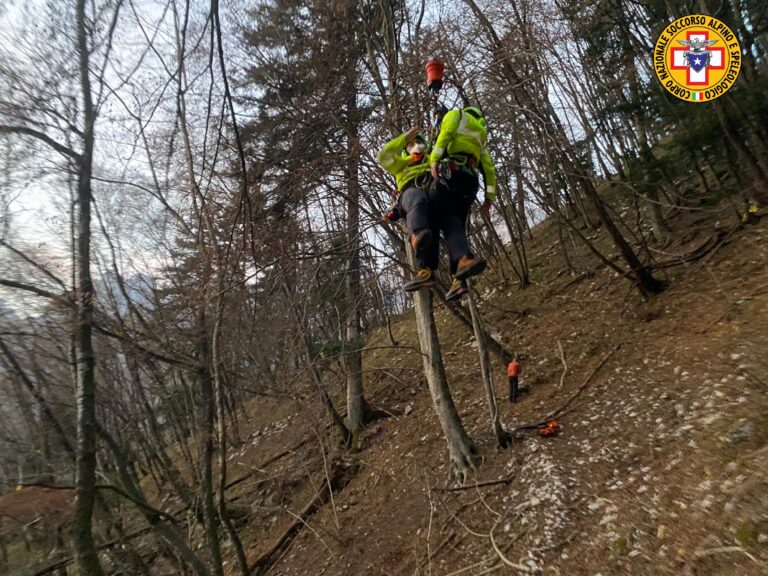 salt_20201115_210011_522