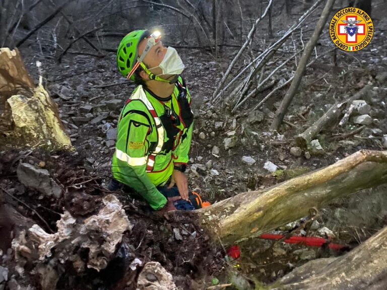 salt_20201115_210146_846