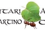 volontari san martino