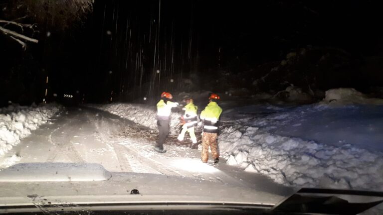 08fe4140-cc46-443d-b4bf-c5f17cdada8e