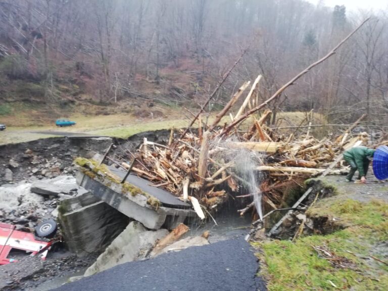 130411764_446767723388612_3233815267488605492_n