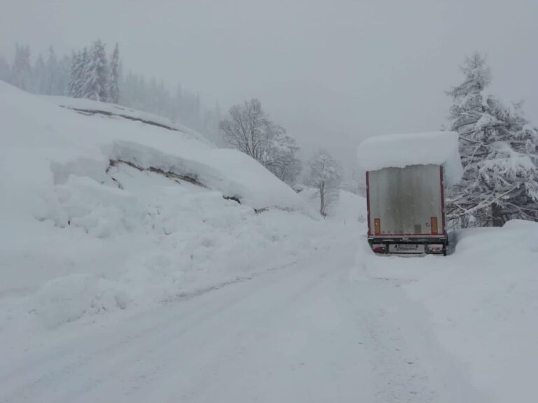 130557805_3575068252561909_1026640916504453889_o