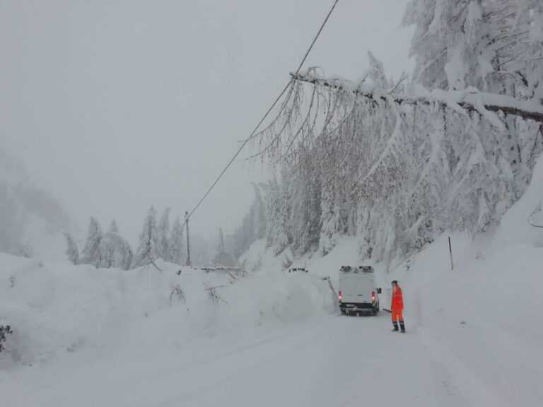 130578418_3575068289228572_2301642556005187272_o