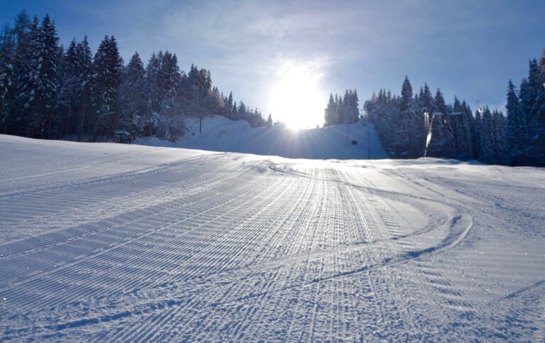 130913167_2794926570719760_7350460991083858625_o