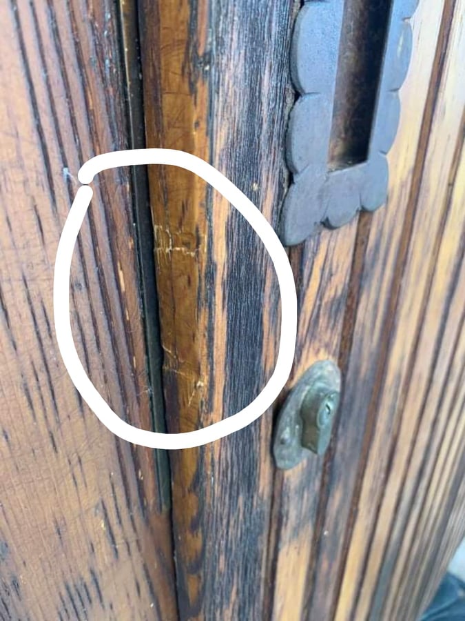 131080519_679861799556241_513087930509268570_n