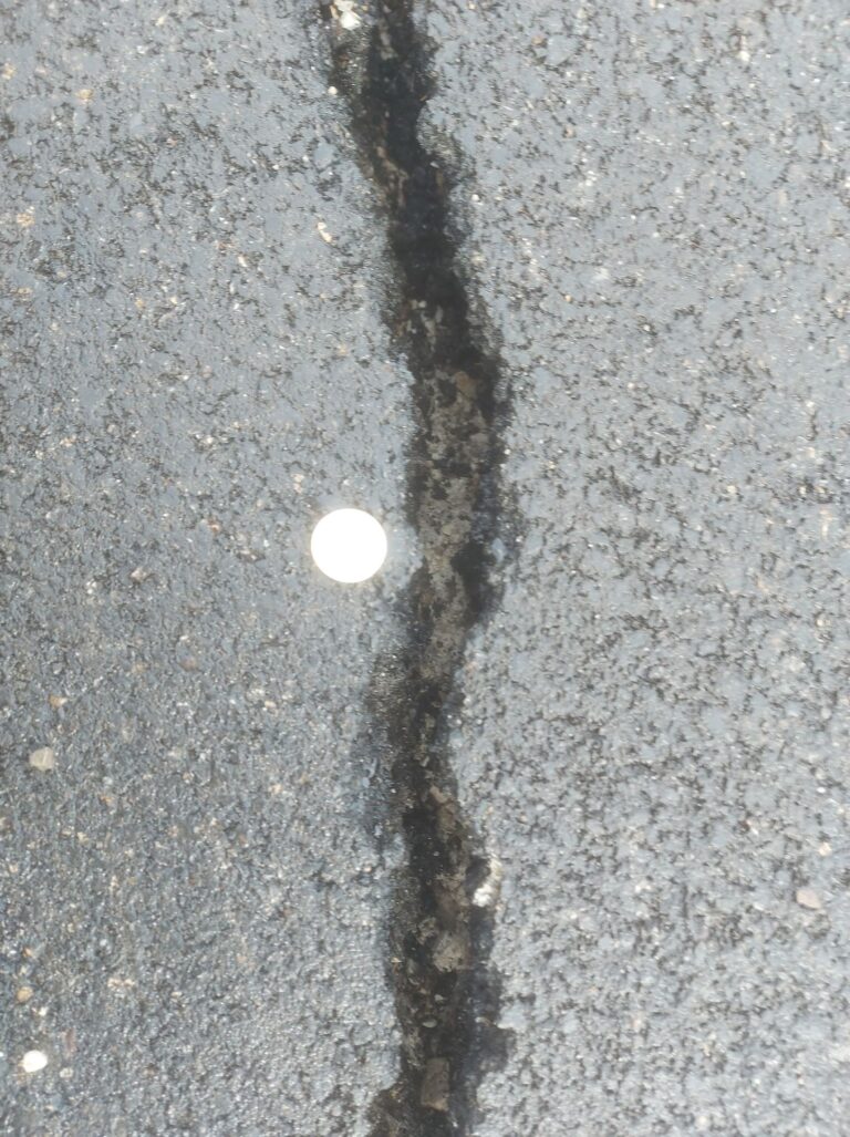 131406641_409670407049700_4677306235983021720_n