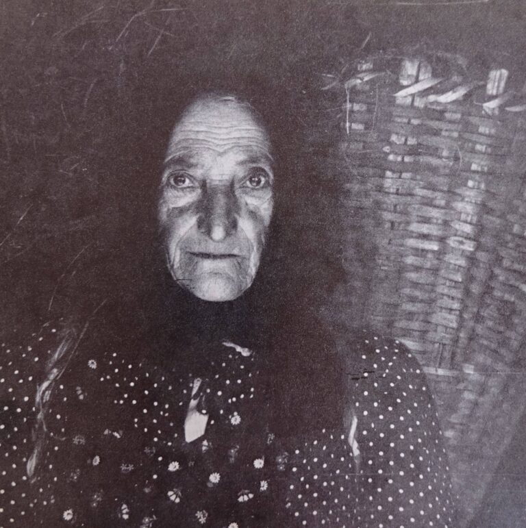 132038429_427227155135906_7318178137987700536_n