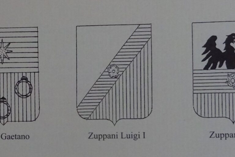 133736670_2134569723346288_4682213273243426539_n