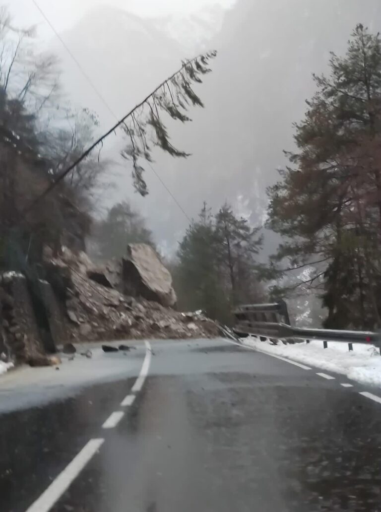 17530b12-f6fe-40f3-a36a-c2a9c761c0d2