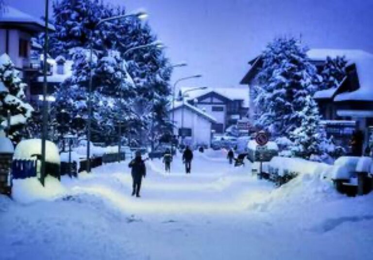 216d3ef1-d985-4b40-b777-c3d988ec526a