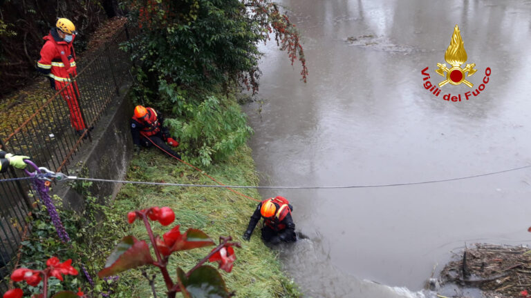 2b26e895-049a-4bb1-8927-66a4bb021349