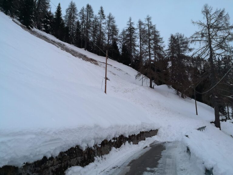 3a715f9b-8055-4f48-b234-a6ac079d5a26