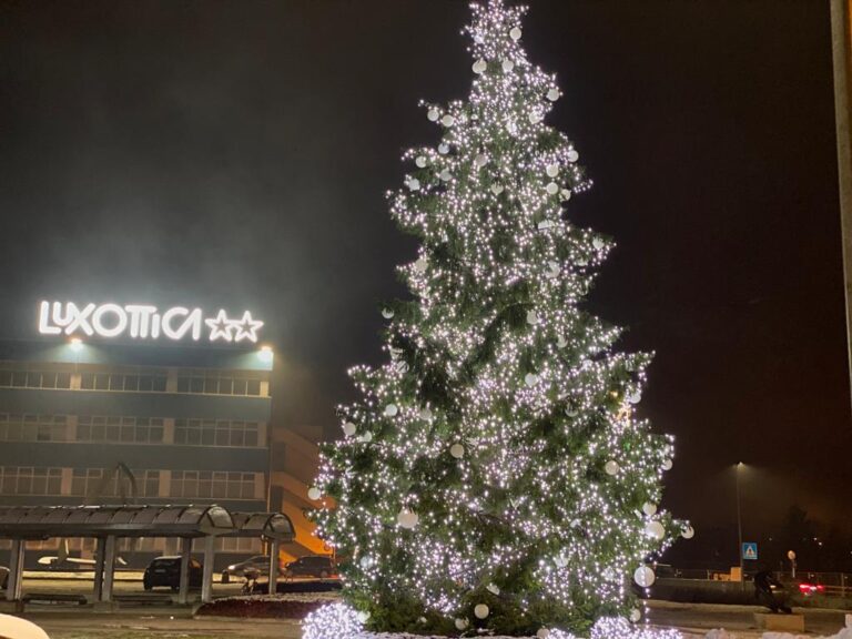 5467f6e2-c85e-4842-b57a-26e929037735