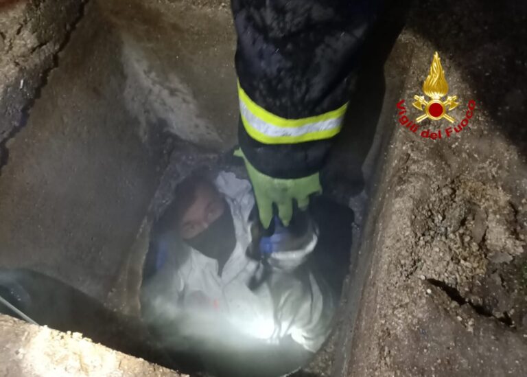 54adafe5-4aad-44df-a36d-3a8947b5cfb9