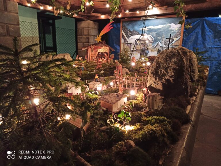 7d4703e6-187f-44df-bde3-95ce8fcfd96b