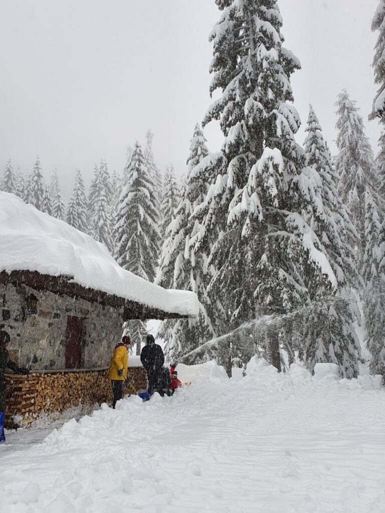 8a1431bc-805a-4800-a96c-dbb983bcc5b9