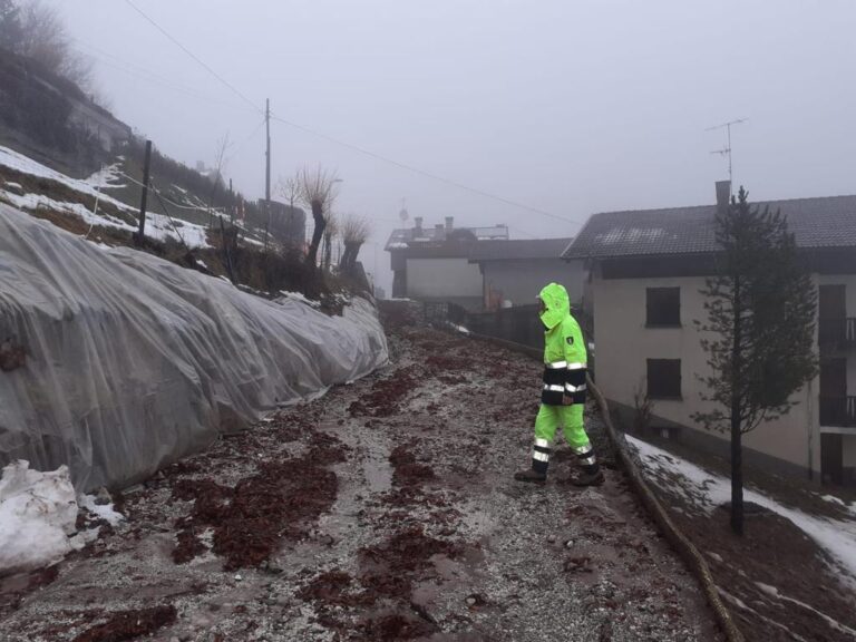 8f915417-b358-4fb8-b8d8-53f9fabd1e52