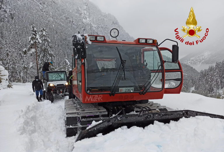 91981c81-b0e5-460b-a1fa-de4dd7860d13