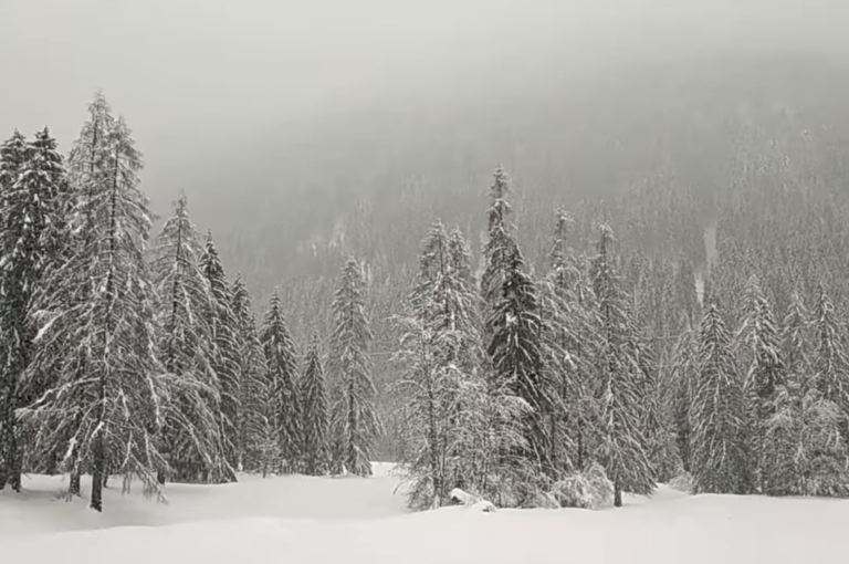 Schermata 2020-12-05 alle 13.56.39