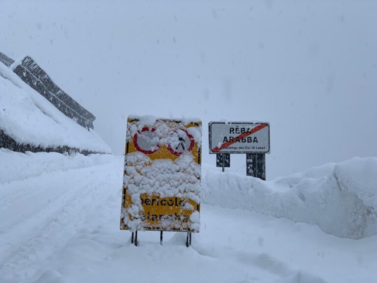 WhatsApp Image 2020-12-07 at 19.26.39