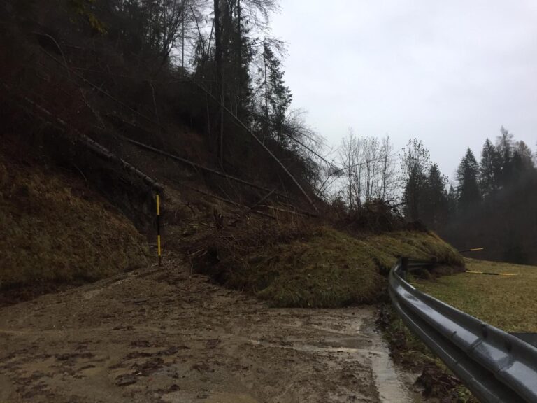 b47830fe-4a5d-49ff-9538-9a377c9cab32