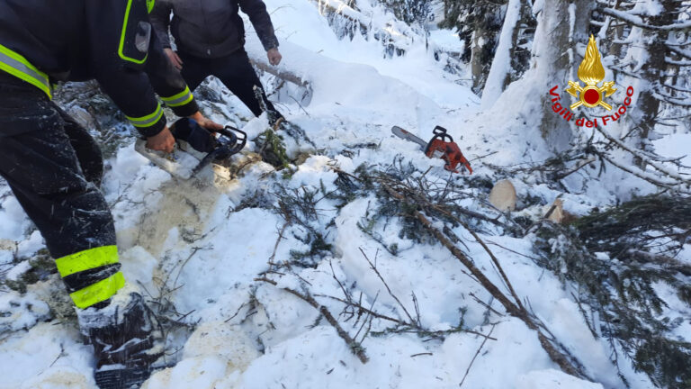 b49019a3-e623-48b5-9d53-45a3a2bfaa5a