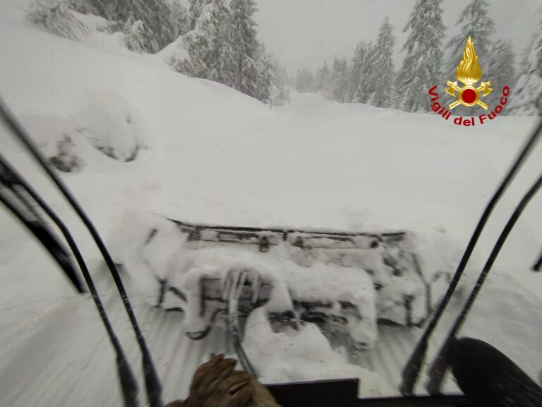 bc9ef0ae-9683-4b1d-99f0-b197cace8ede