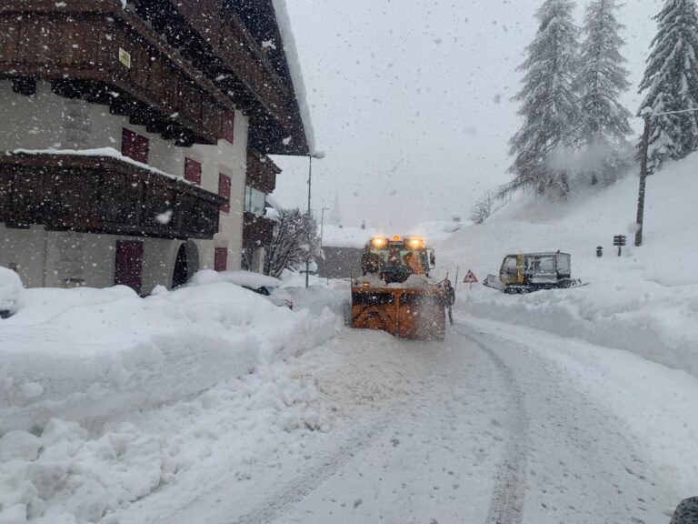 ca0a7d11-cd36-443f-a422-e7bdf5aa68e8