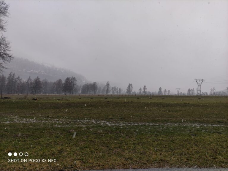 ccd6ab2e-a07d-4eea-b233-504ccc60708f