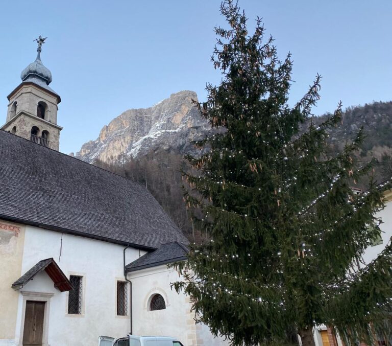 d1053e36-67e9-41bf-8ed6-72b2381d028e