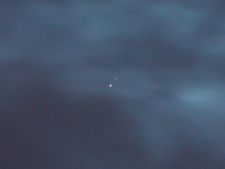 d69b79f0-42cf-428d-bea9-0294f2473518