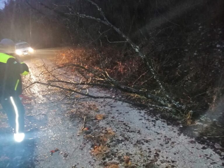 e25d838c-989e-44c3-b5ff-eb6d8ced68f2