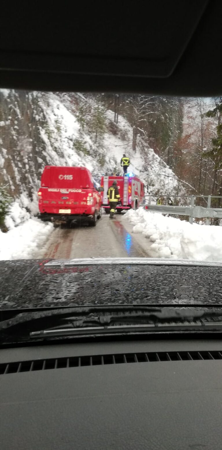 e9c967e4-30b7-4b5a-b21e-ebad881d2eed