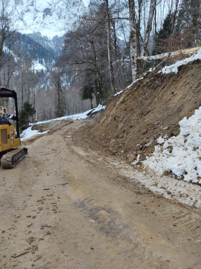 ea562689-06f0-494e-95cc-6dc7168a02a8