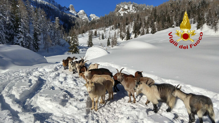 ebd9aedd-12d7-4682-bde7-ebde9d188002