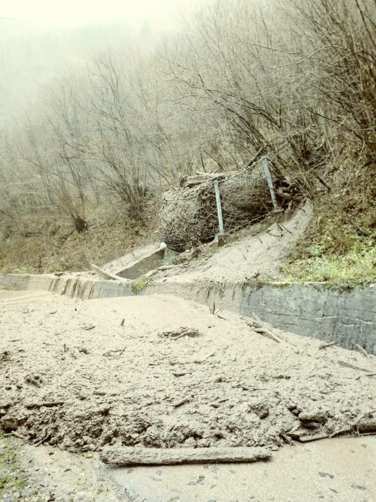 f2179a61-c089-4b42-8e59-a8a26af8d81c