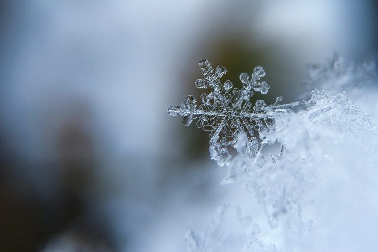 fiocco neve
